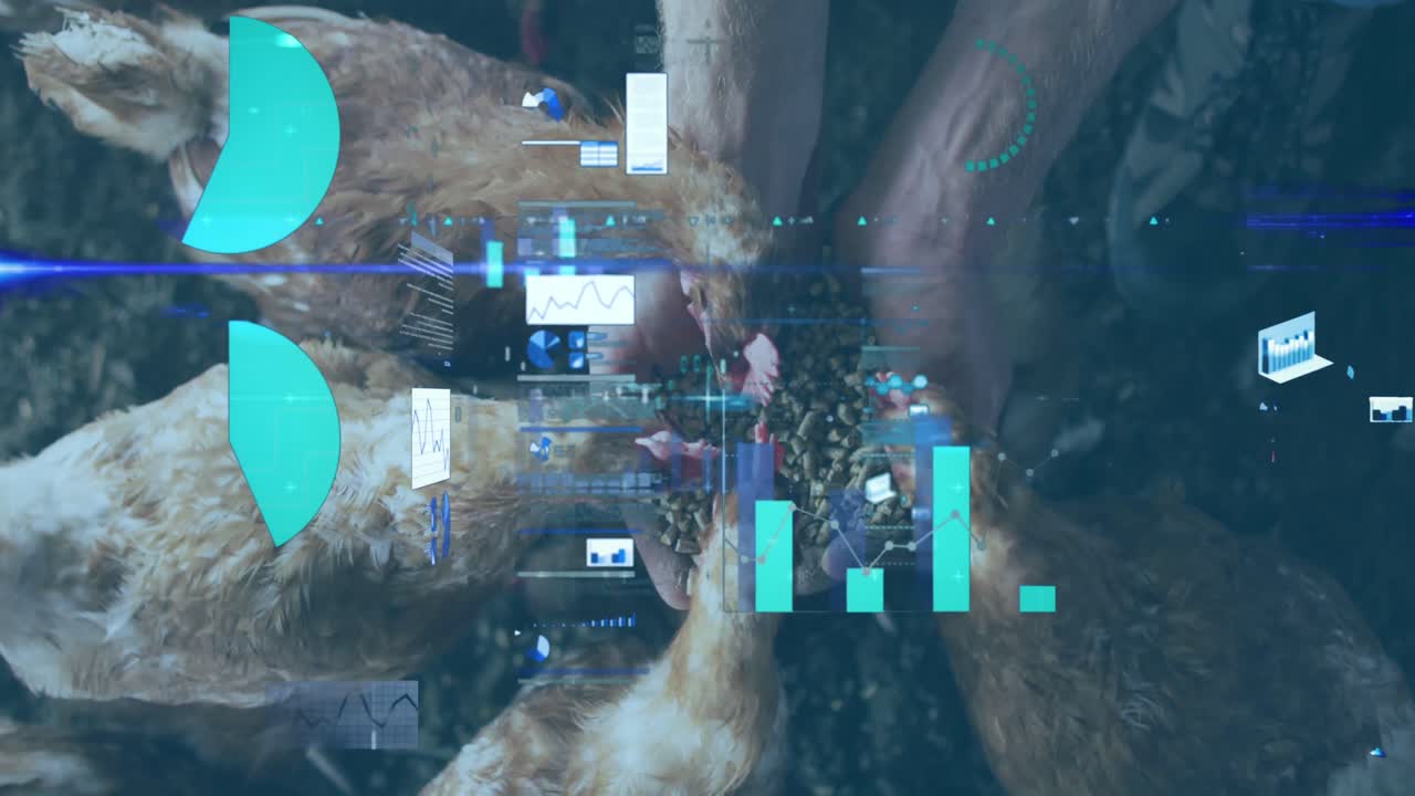 Animation of financial data processing over caucasian man feeding chickens