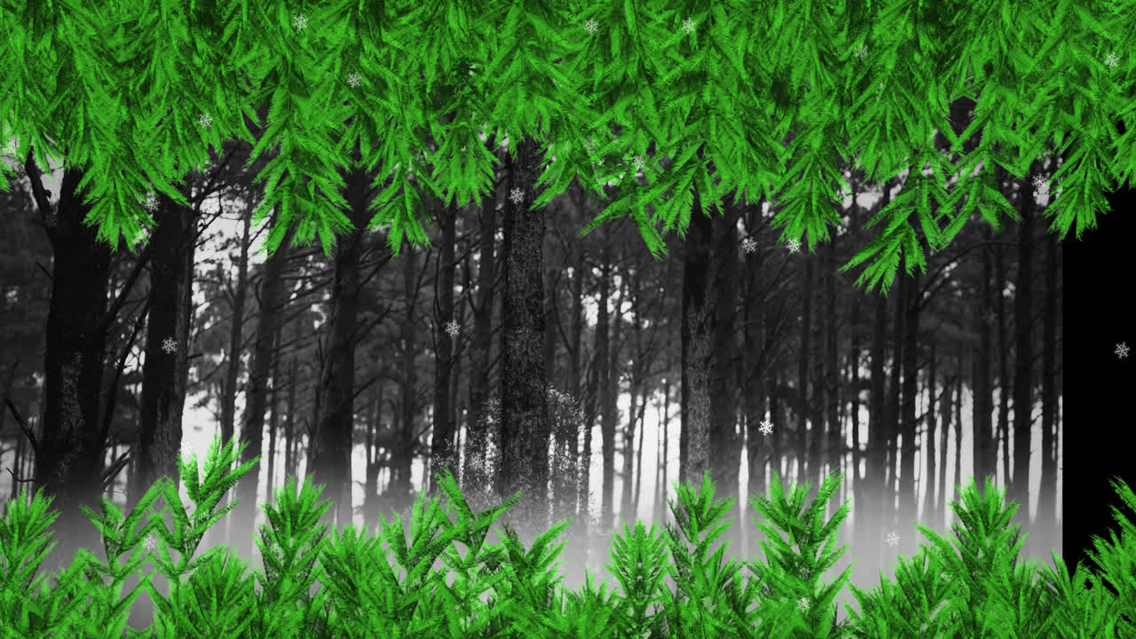 겨울 풍경에서 여러 나무 위에 떨어지는 눈송이 위의 초록색 나무 가지