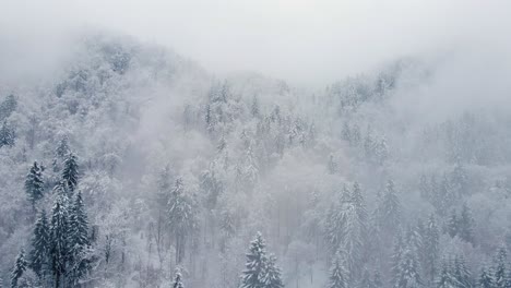 Bosque-Desde-Arriba-Después-De-Una-Tormenta-De-Nieve-Con-Nubes-Bajas-Y-Naturaleza-Cubierta-De-Nieve-En-Invierno