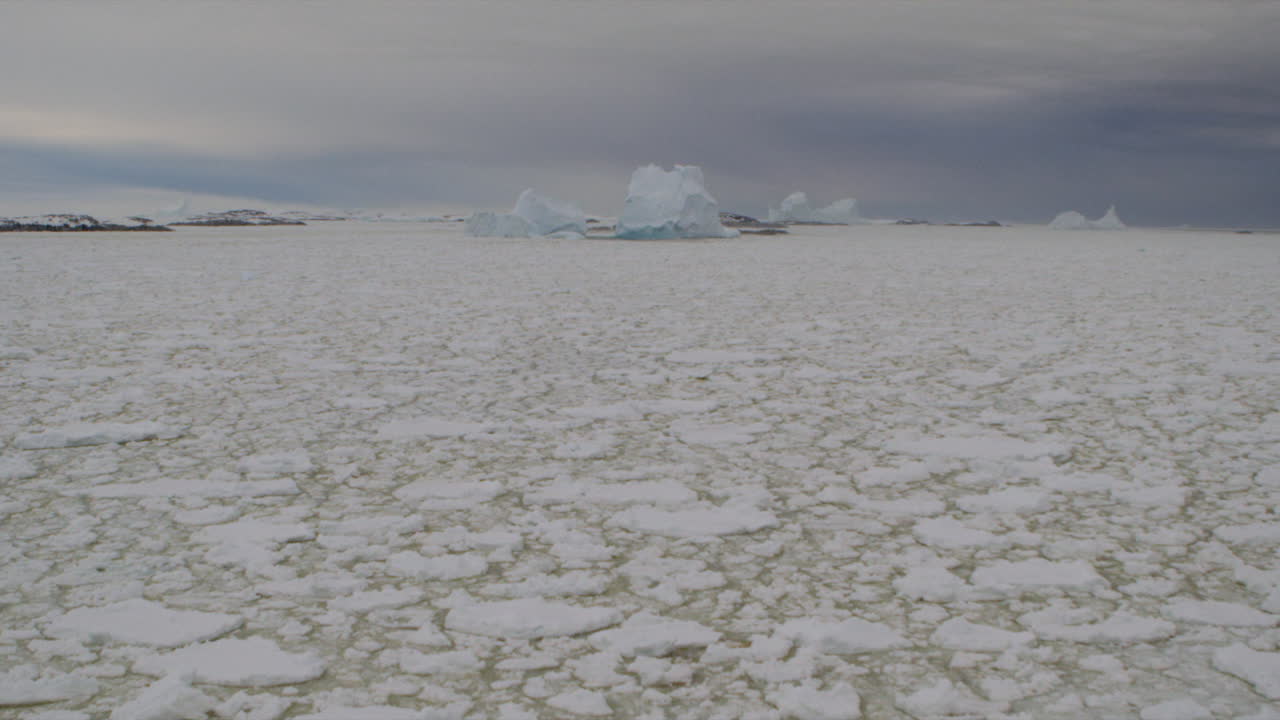 Iceberg and icefield