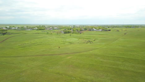 Aerial-View-Of-Vast-Green-Meadows-And-Fields-In-Summer---Drone-Shot