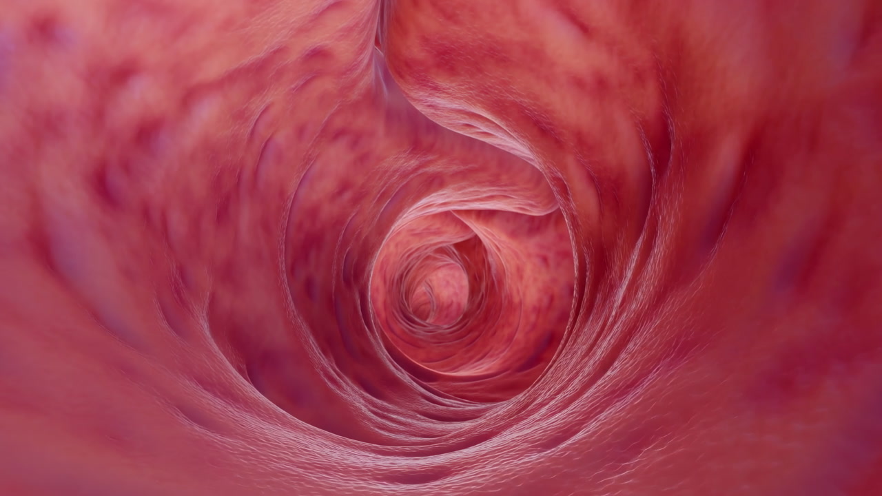 Inside Red Intestinal Tunnel Endoscopic View Immersive Cinematic Visualization Of Textured Mucosa And Swirling