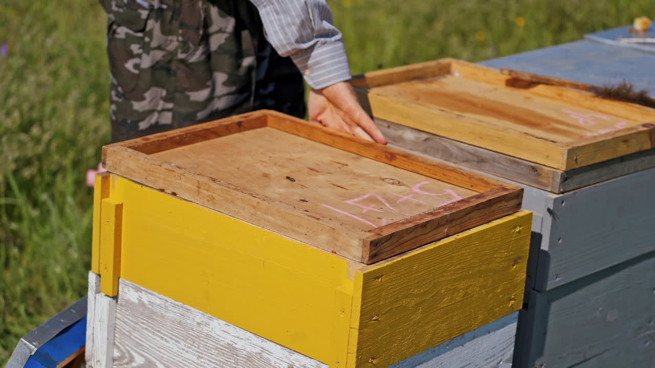 Wooden hive. Beekeeper closes beehive after inspecting bees in summer. Close-up. Apiculture concept.