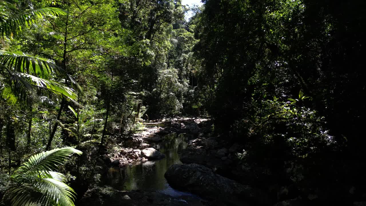 Percorrendo un torrente isolato della foresta pluviale australiana, con la luce del sole che filtra tra gli alberi