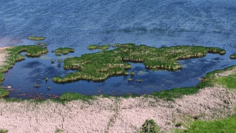 aerial drone view of a small wetland pond along a sandy shoreline in michigan’s upper peninsula