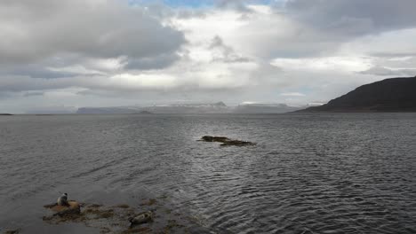 Sensational-wide-drone-view-of-Icelandic-panorama-with-seals-in-foreground,-day