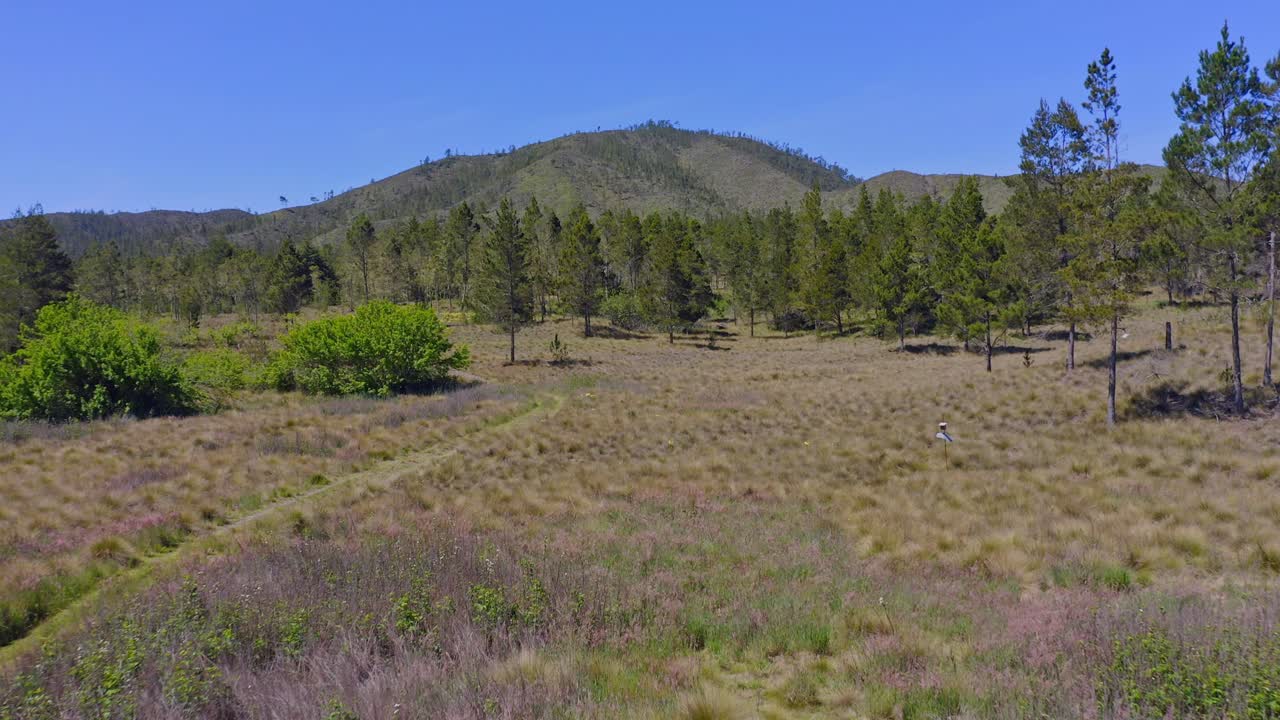 naturaleza tranquila en verano con nuevos valles cerca de constanza, república dominicana