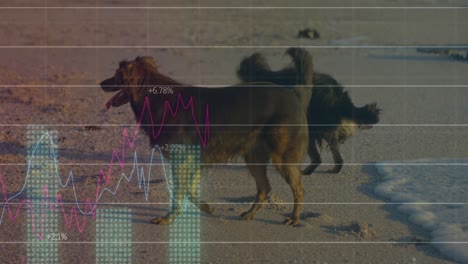 animation of data processing over dogs at beach