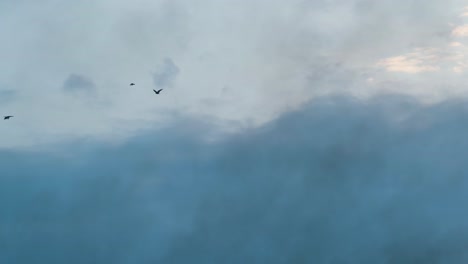 Small-flock-of-crows-silhouetted-flying-across-overcast-cloudy-blue-sky