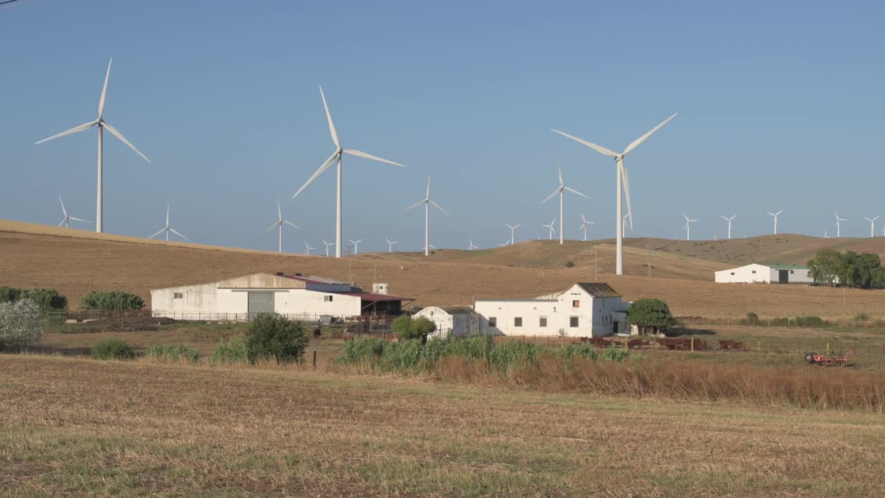 Wind turbines spinning in rural field under summer sunlight