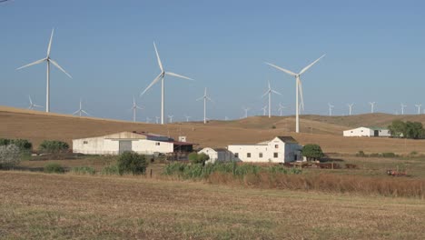 wind turbines spinning in rural field under summer sunlight
