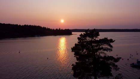 sunset over stockholm archipelago with tranquil water and silhouetted trees, aerial view