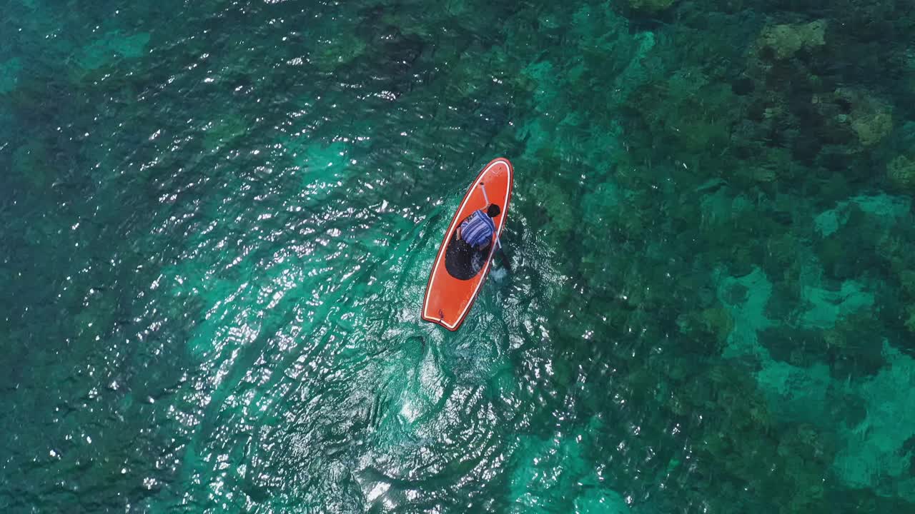 vista superior de un hombre sentado en una tabla de remo y remando sobre una laguna azul clara con un hermoso arrecife de coral bajo el agua