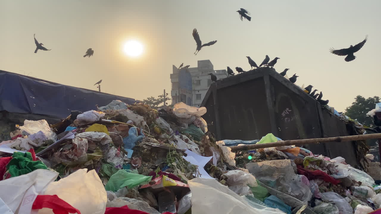 primer plano de un contenedor de basura lleno de basura mientras varios cuervos vuelan sobre él en las calles de la india