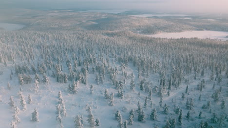 Winter-Scene-In-Muonio,-Finland-With-Forests-Covered-In-Snow---aerial-drone-shot