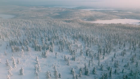 芬蘭穆奧尼奧的冬天風景,森林被雪覆蓋 - - 無人機拍攝