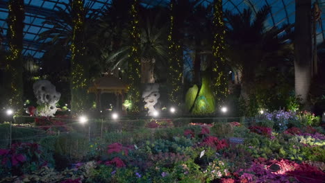 exhibición del jardín de navidad por la noche