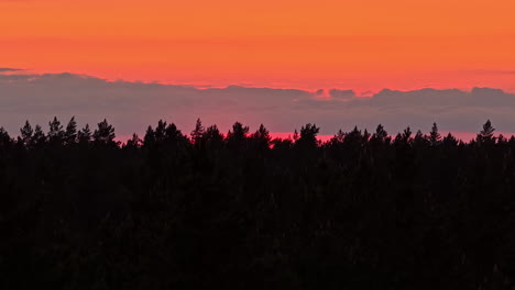 single dark evergreen silhouetted at sunset with red orange haze sky in background