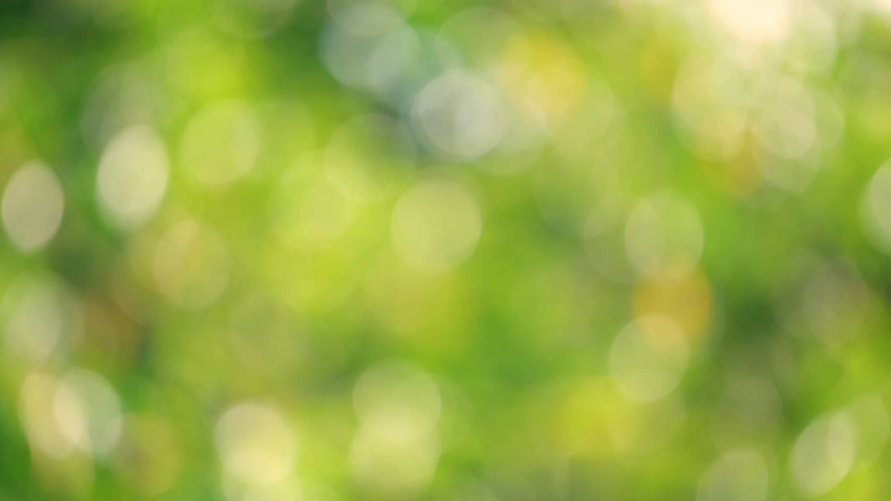 luz del sol fondo biológico amarillo, abstracto follaje borroso luz del sol