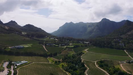 establishing drone shot of vineyard with grapevines and mountains overlooking stellenbosch and constantia in south africa