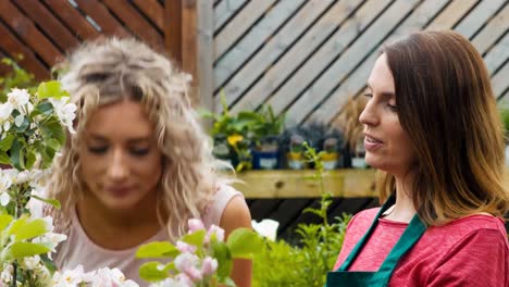 female florist interacting with a customer