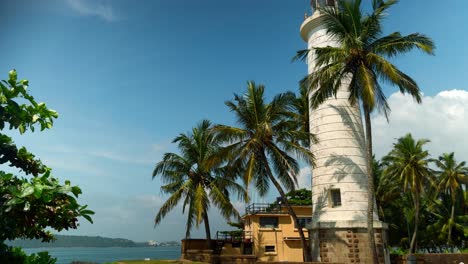 lighthouse in sri lanka with palm trees