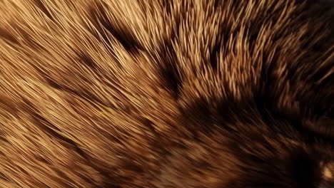 close-up of brown fur texture