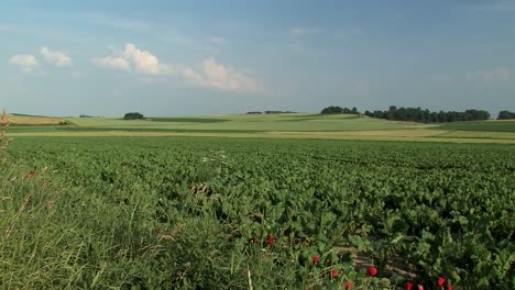 Pan-shot-over-fields-near-Egweil,-Bavaria,-Germany