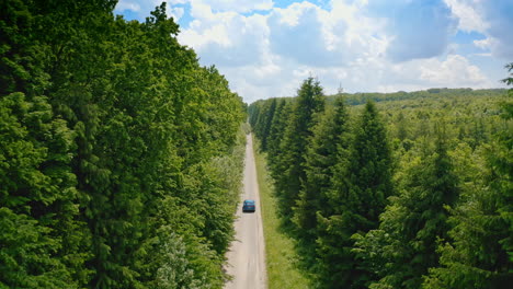 car on a road among amazing green nature. blue electric automobile moving on a road. eco vehicle driving in summer.