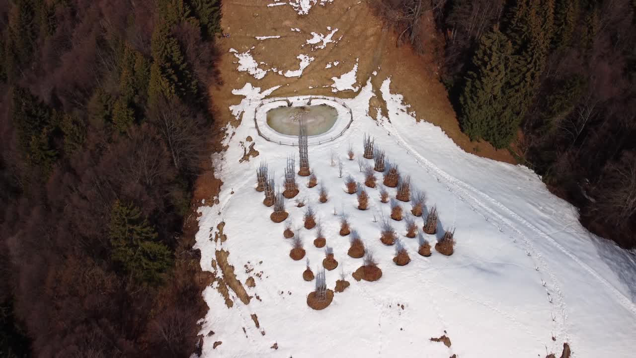 растительный собор джулиано маури, художественная работа в парке ороби, бергамо, италия