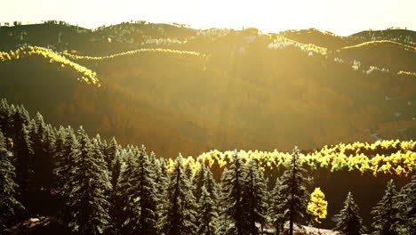Herbstlicher-Skandinavischer-Wald-Und-Landschaft-Mit-Leuchtenden-Herbstfarben