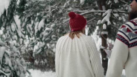 Rear-view-of-couple-walking-into-the-forest-in-winter.