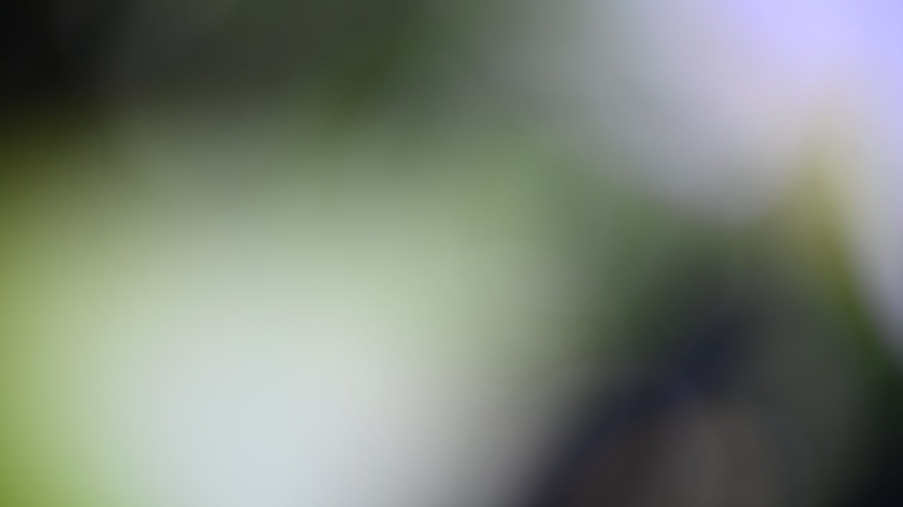 Abstract blurred background with green, brown, and dark tones