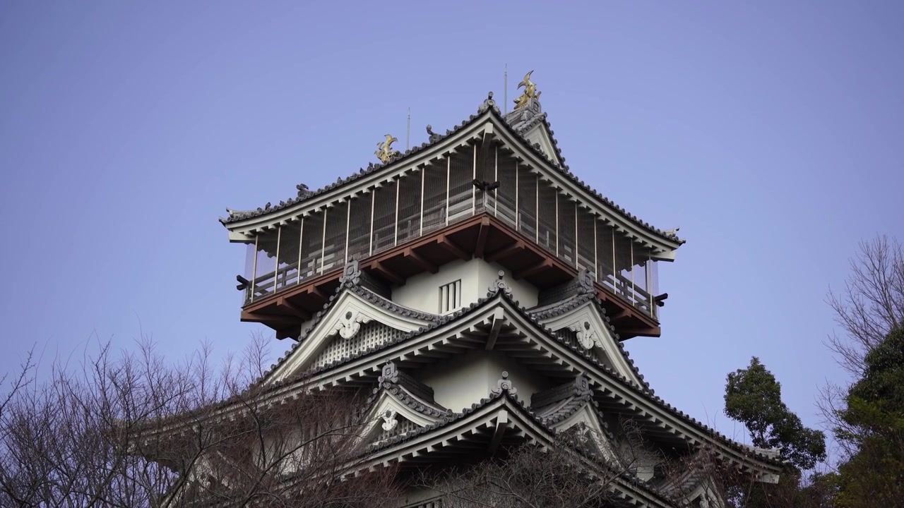 Udsigten til Iwasaki Slot i Aichi-præfekturet, Japan.