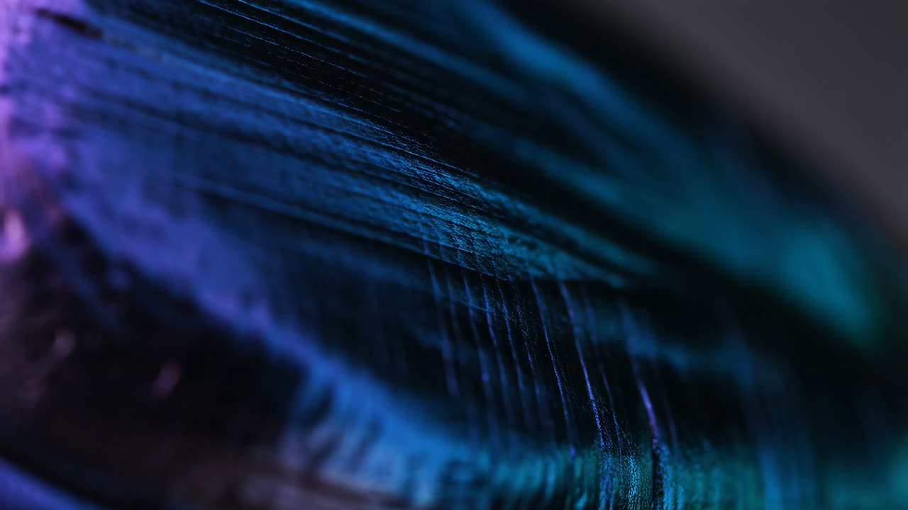 Close-up of Iridescent Feather