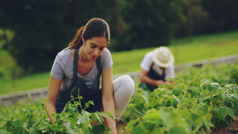 Esta-Finca-Es-Mi-Orgullo-Y-Alegría