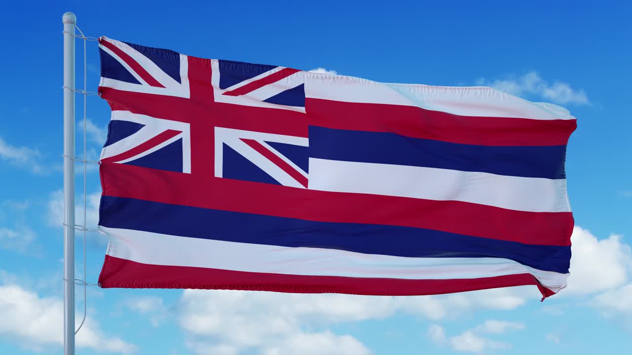 하와이 발은 바람에 흔들리는 발 기둥에, 파란 하늘 배경.