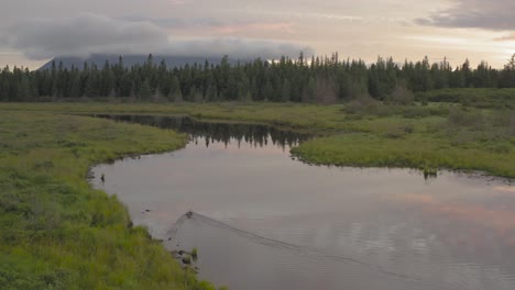 Ducks-swim-along-meandering-river-flat-calm-wilderness-during-sunrise