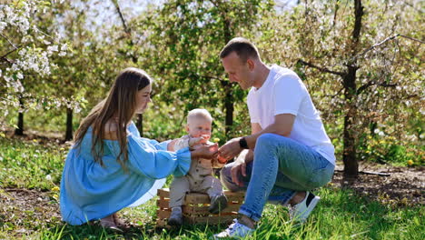 mom gives a flower to her son sitting on the wooden crate. beautiful family of three in the spring garden.