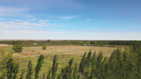 el proceso de urbanización en una llanura verde rodeada de callejones arbóreos en un día soleado con un cielo azul, neuquen - toma aérea de drones