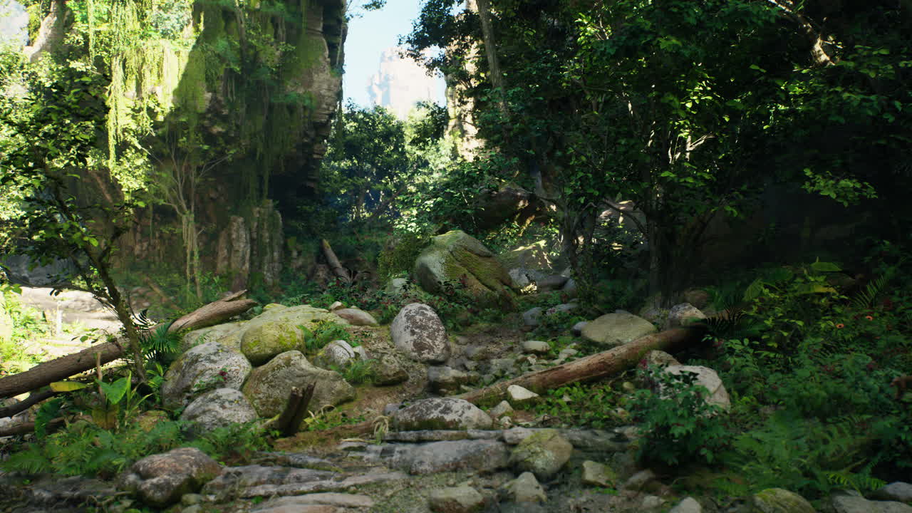 숲 속의 바위길