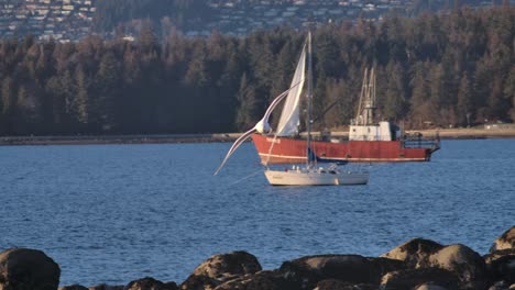 Weiße-Fliegende-Möwe-An-Der-Küste-Von-Vancouver-In-Kanada---Kamerafahrt