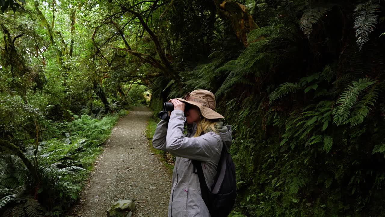 niña con sombrero con cámara tomando fotos en un bosque pacífico, nueva zelanda