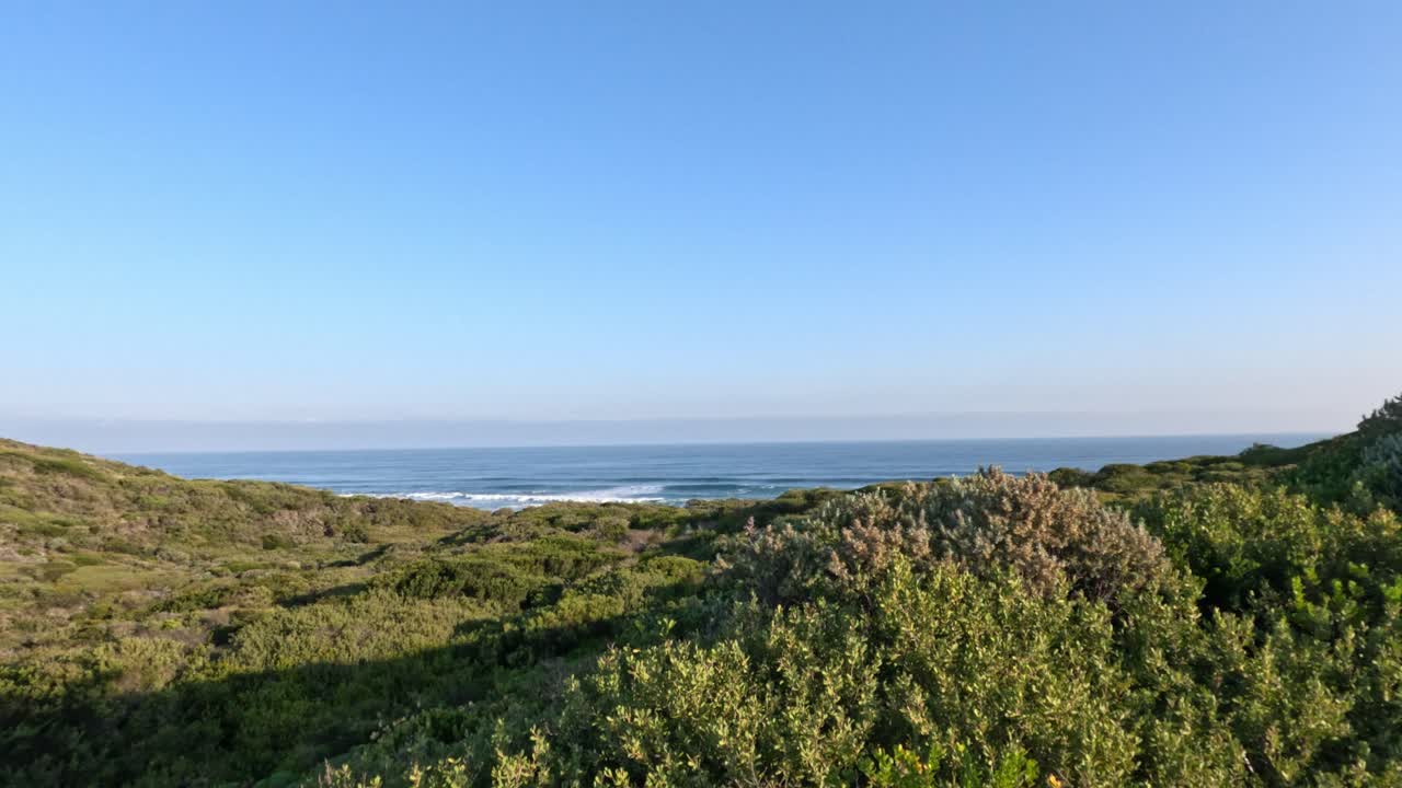 Vista panoramica di dune costiere e vegetazione