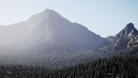 mountains covered with woods in the early morning mist