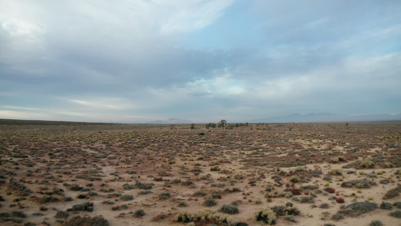 황량한 풍경에 지프차를 드러내기 위해 평평한 모하비 분지를 따라 낮은 고도로 앞으로 나아가십시오.