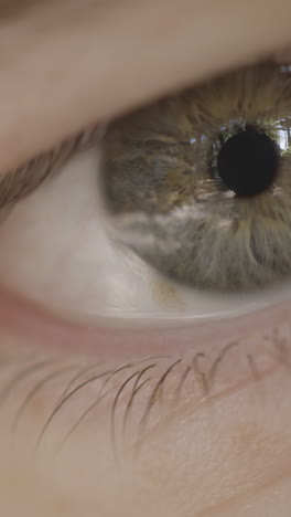 close-up of a human eye