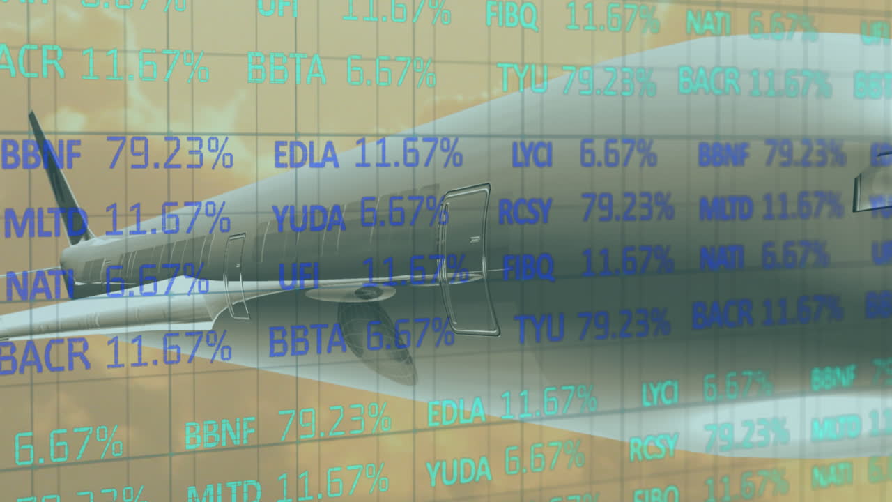 항공기 비행을 통해 금융 데이터 처리의 애니메이션
