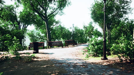 walking street with natural view in public park