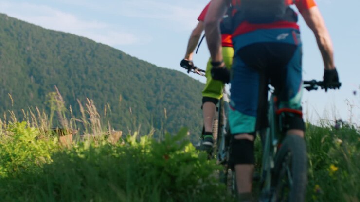 Two mountain bikers on a scenic trail